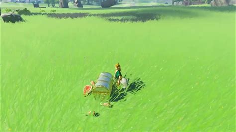 what amiibos work in BOTW